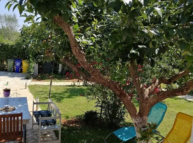 Casa Elysium * Ρόβινι